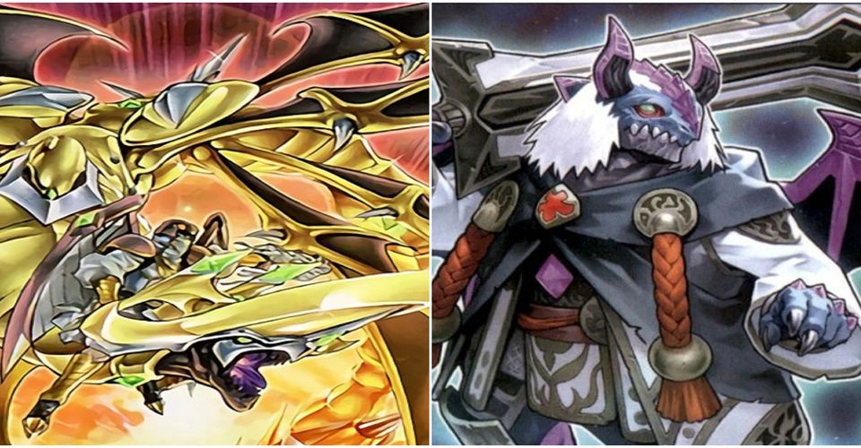 Yu-Gi-Oh: 10 Best Decks For Newcomers (Who Want To Win)