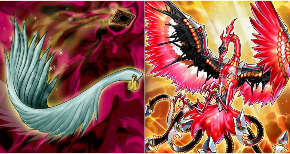Yu-Gi-Oh! The 10 Best Backrow Removal Cards In The Game's History, Ranked