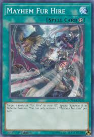 Yugioh Mayhem Fur Hire / Common - MP19-EN255