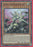 Yugioh Keurse, the Ogdoadic Light / Super - ANGU-EN005 - 1st