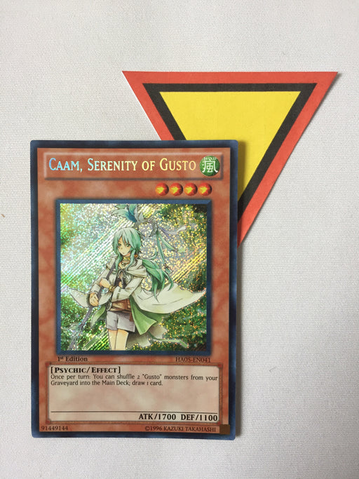 CAAM, SERENITY OF GUSTO - SECRET - HA05-EN041 - 1ST
