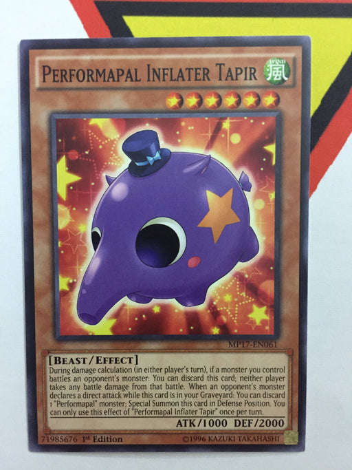 PERFORMAPAL INFLATER TAPIR - COMMON - MP17-EN061 - 1ST