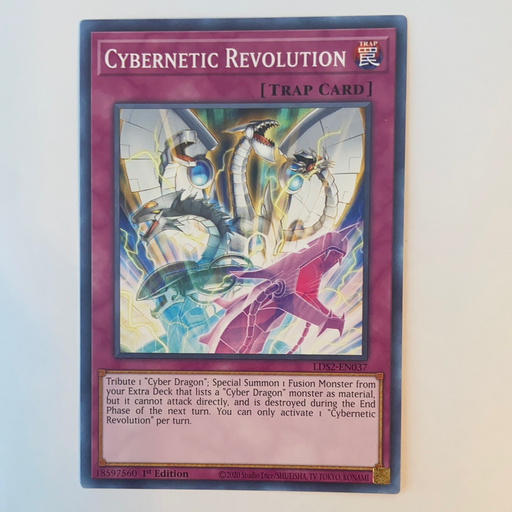 Cybernetic Revolution / Common - LDS2-EN037 - 1st