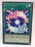 Cynet Fusion / Rare - SOFU-EN050 - 1st