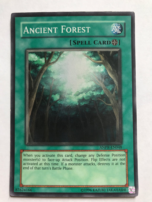 Ancient Forest - Super - ANPR-EN048