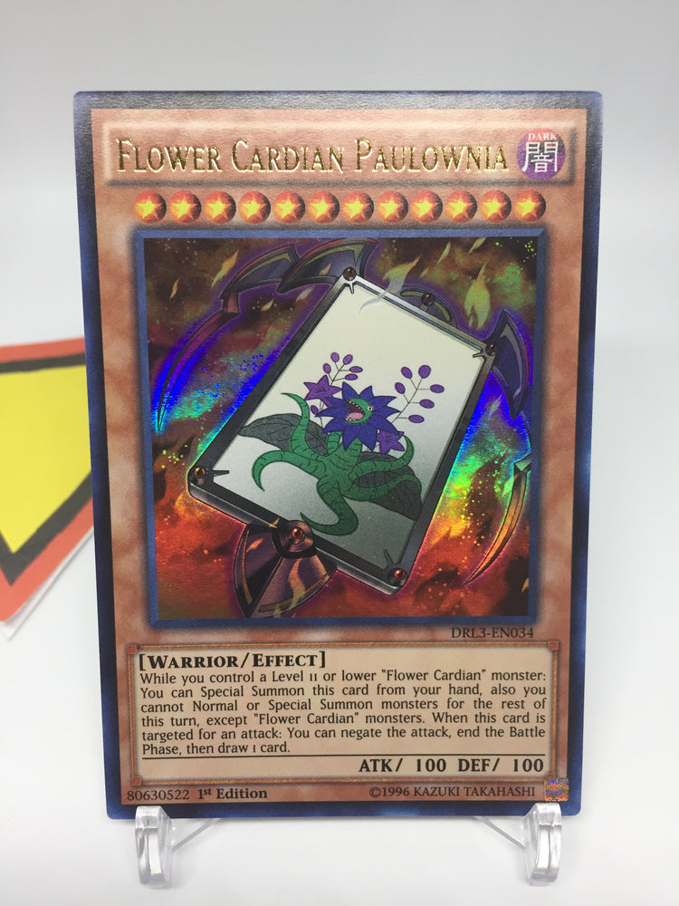 Flower Cardian Paulownia / Ultra - DRL3-EN034 -1st