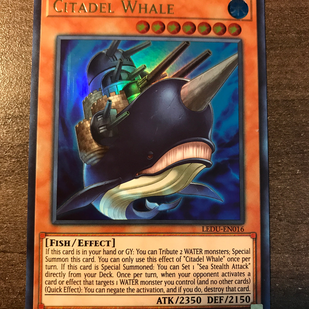 Citadel Whale - Ultra - LEDU-EN016