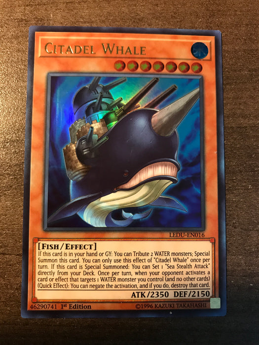 Citadel Whale - Ultra - LEDU-EN016 - 1st