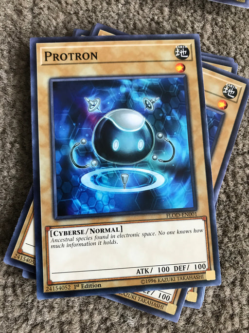 Protron - Common - FLOD-EN001 - 1st