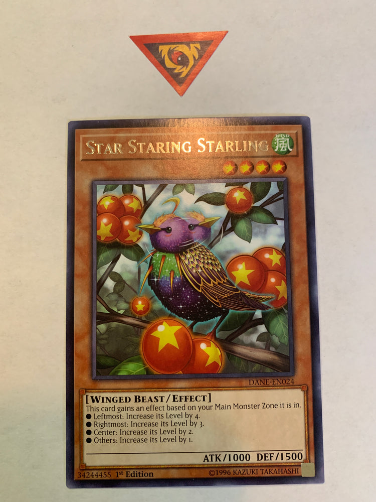 Star Staring Starling / Rare - DANE-EN024 - 1st